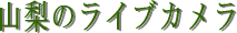 �R���̃��C�u�J����
