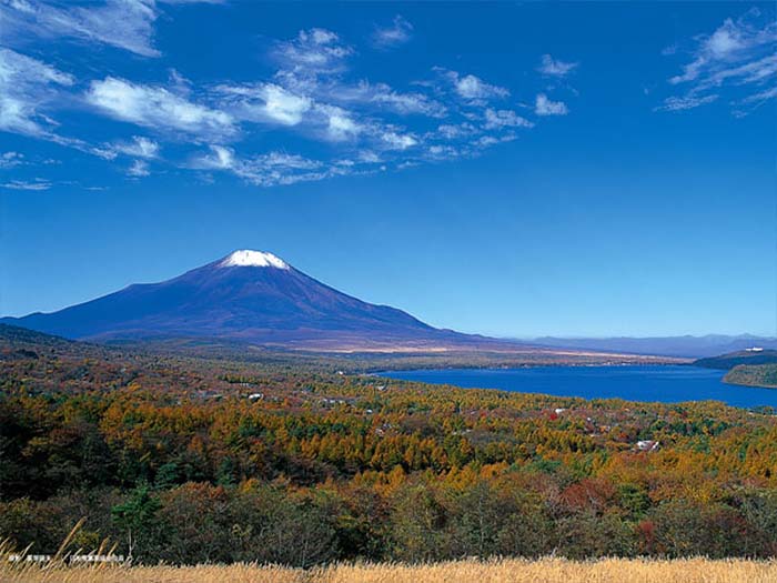 紅葉の山中湖