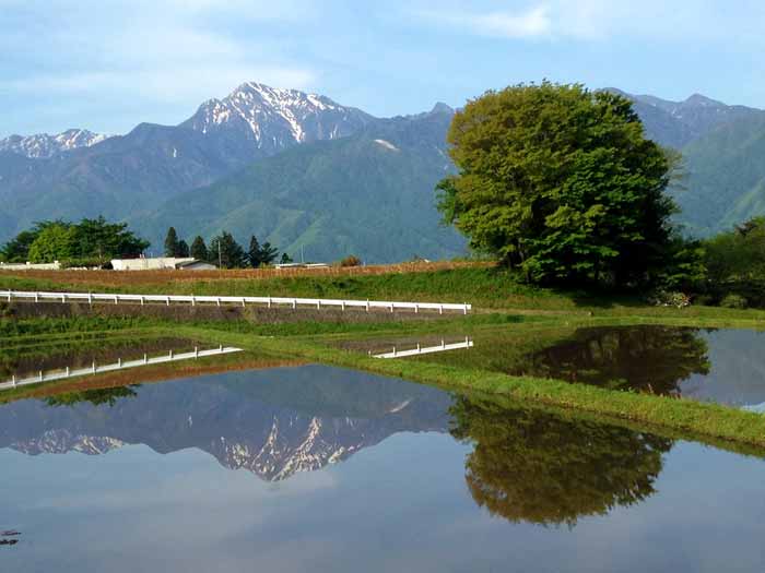 水田に映る甲斐駒ケ岳が美しい（5月）
