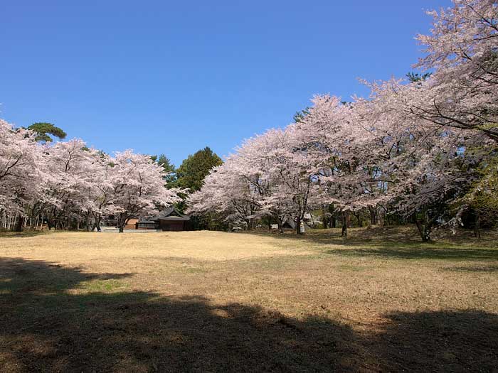 八ヶ岳？いえ、茅が岳です